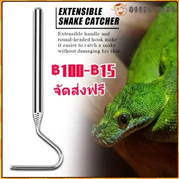 Lizard Catcher ราคาถูก ซื้อออนไลน์ที่ - เม.ย. 2024