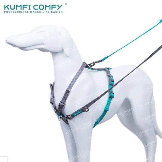 สายจูงสุนัขหลายฟังก์ชั่น-complete-control-lead-kumfi-comfy-จากตัวแทนจำหน่ายอย่างเป็นทางการ-เจ้าเดียวในประเทศไทย