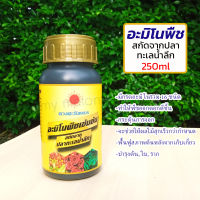 อะมิโนพืชเข้มข้น สกัดจากปลาทะเลน้ำลึก 250ml มีกรดอะมิโนรวม 16ชนิด บำรุงต้น, ใบ, ราก