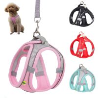 Dog Harness Leash Set for Small Dogs Adjustable Puppy Cat Harness Vest French Bulldog Pug Outdoor Walking Lead Leash