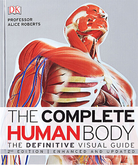 original-english-version-of-the-complete-human-body-dk-encyclopedia-complete-illustrated-guide-to-human-body-structure-encyclopedia-of-human-science-medical-picture-book