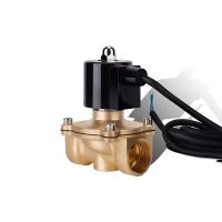 1" Normally Closed Solenoid Valve DN25 Brass Fountain Solenoid Valve 110V 24V 12V 24v For Underwater Valves