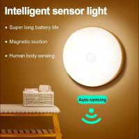 LED Motion Sensor Night Light Rechargeable Night Lamp Wireless Kitchen Bedroom Closet Light Wall-Mounted Body Induction Lamp Ceiling Lights