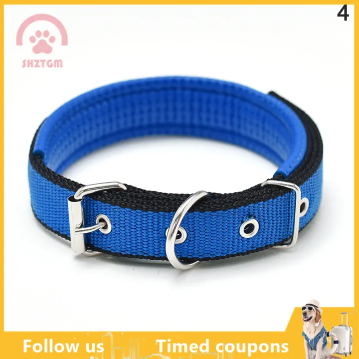 what is a safety ring on a dog collar