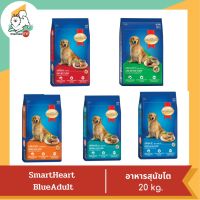 Smart Heart Blue  Adult สำหรับสุนัขโต  20 kg.