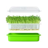 Seed Sprouter Tray BPA Free PP Soil-Free Large Capacity Healthy Wheatgrass Grower with Cover Seedling Sprout Plate Hydroponic