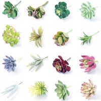 hyfvbujh❧  Simulated Succulent Flocking Arrangement Potted Landscape Bonsai Accessories Ornaments