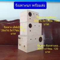 รังเพาะ ค็อกคาเทล กรีนชีค 30x21x19ซม. 160 บาท