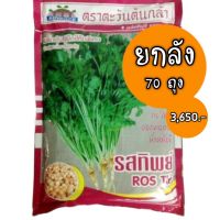 ยกลัง 70ถุง เมล็ดพันธุ์ผักชี รสทิพย์ 300กรัม ผักชี เมล็ดผักชี coriander