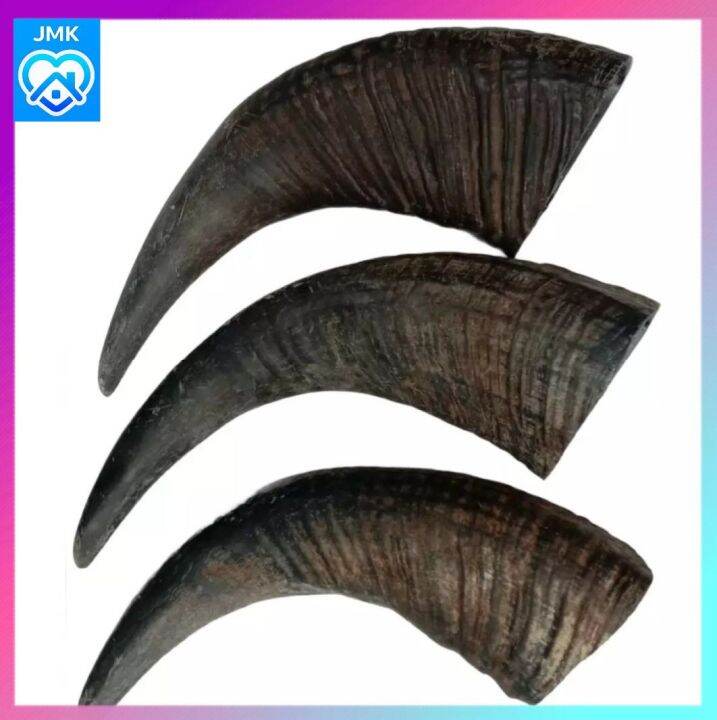 JMK Dog Toys Real Philippine Carabao Horn (Dog Teether/Treats) per