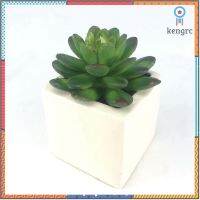 กุหลาบหินปลอม Echeveria head (เฉพาะต้นพืชไม่รวมกระถาง) ไม้อวบน้ำปลอม สวยเหมือนของจริง สำหรับประดับสวนจิ๋ว สวนขวดแก้ว ยอดขายดีอันดับหนึ่ง