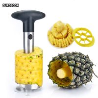 Stainless Steel Pineapple Peeler Fruit Corer Cookie Cutter Kitchen Tools and Cooking Kitchen Accessories Color Kitchen Knives Graters  Peelers Slicers