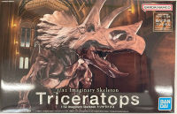 1/32 IMAGINARY SKELETON TRICERATOPS