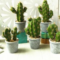 Artificial Cactus Succulents Prickly Pear Potted Plant Pot Eco Friendly Simulation Home Office Desktop Decoration Hot