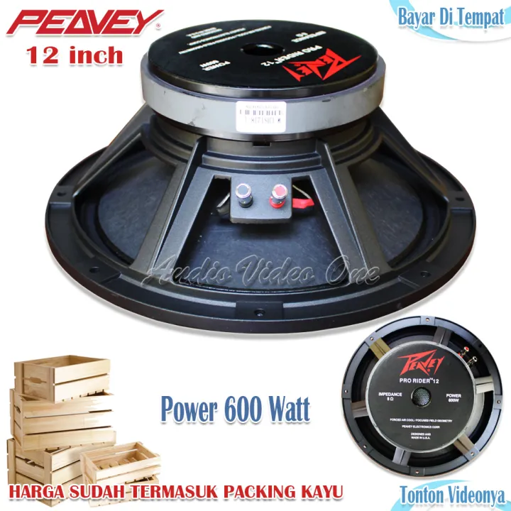 Speaker Peavey 12 Inch Pro Rider Series Komponen Spiker Sound System