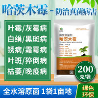 Trichoderma Harzius กรัม/ถุง200ป้องกันโรคที่เกิดจากดินจากโรคโบทริซินเทียสโรคราน้ำค้างรากเน่าเครื่องกำจัดแมลงไฟฟ้าเพื่อการเกษตร