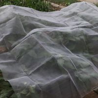 60 100Mesh 1 30m Agriculture Farm Vegetable Anti Insect Nets Garden Fruit Tree Pest Control Bird Netting Plants Care Cover