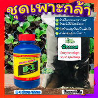 วัสดุเพาะกล้า+ฮอร์โมนเร่งราก ? น้ำรากเร่งรากB-1 + พีชมอส วัสดุปลูกคุณภาพสูง ดินปลูกต้นไม้ เพาะเมล็ดอัตราการงอกสูง ต้นกล้าแข็งแรง?