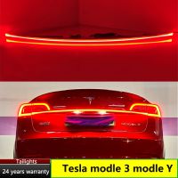 For Tesla Model 3 Y 2019-2023 Streamer Turn Signal Width Cross Lamp LED Through Trunk Tail Light Modified Retrofit