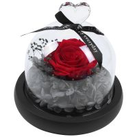 Creative Presents Eternal Exclusive Rose In Glass Dome The Beauty And Beast Rose Romantic ValentineS Day Gifts Birthday Gift