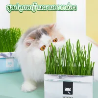 ชุดปลูก ครบชุดพร้อมปลูก ต้นอ่อนข้าวสาลี ออร์แกนิค ปลอดสารเคมี หญ้าแมว แบบถุง ชุดปลูกหญ้าแมว
