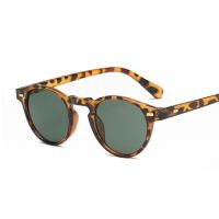 Kacamata Hitam Klasik Kacamata Hitam Mata Kucing Bulat Pria Wanita Gaya Retro Leopard Bingkai Kecil Oculos De Sol