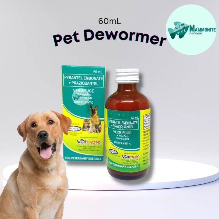 Pet Dog Cat Dewormer Treatment Vermifuge Suspension Syrup 60mL Lazada PH