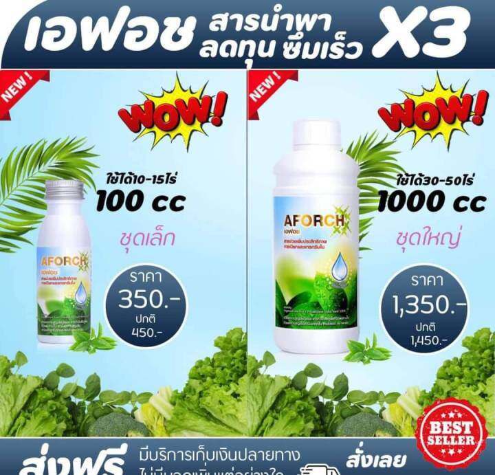 พร้อมส่ง-ส่งไว-เอฟอช-aforch-1-ลิตร-สารจับใบ-ชนิดเร่งดูดซึมไว-เอฟอชปุ๋ยจอมยุทธ์