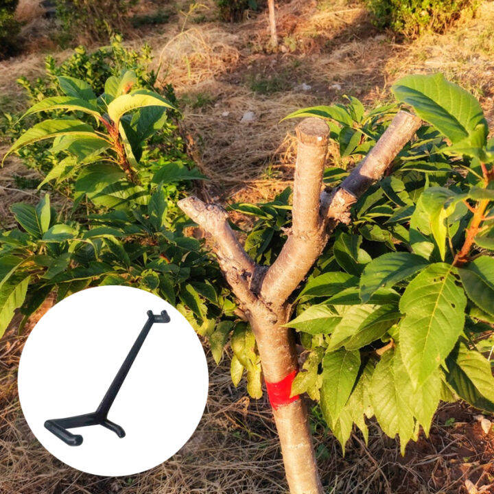 10pcs Fruit Tree Branch Limb Spreader For Strong Spreading Crotch