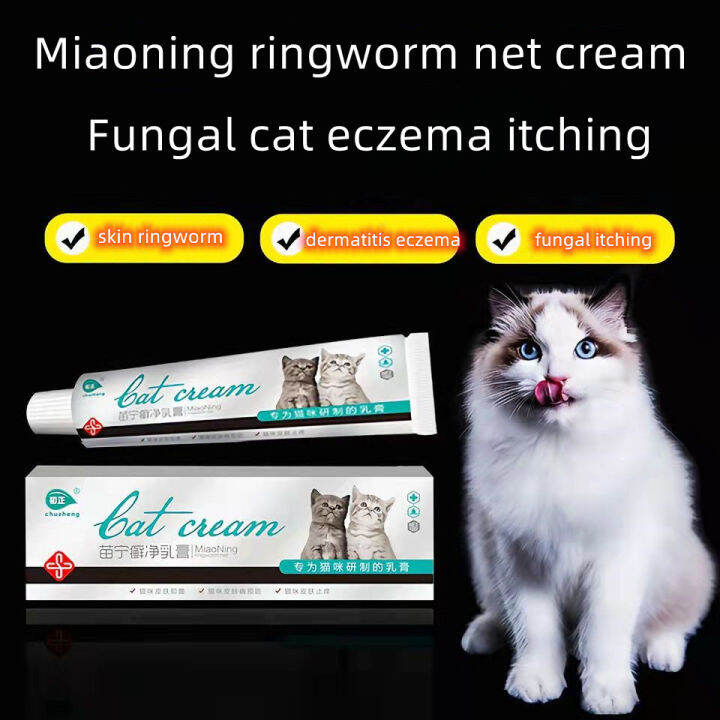 Pet cat skin disease topical ointment ringworm dermatitis eczema