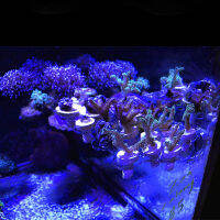 Reefing Art Super Clear อะคริลิค Magnetic Coral Frag ปลั๊กผู้ถือแร็คถังปลาสำหรับ15-20มม. ความหนาของแก้ว