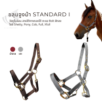 ขลุมจูงม้า  STANDARD 1 HALTER