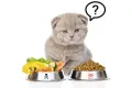 Cleine Tadita Petshop - Makanan kucing Kering Nice 500 gram. 