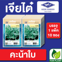 ผักซอง เจียไต๋ CT15 เมล็ดพันธุ์ พันธุ์ผัก คะน้าใบ บรรจุแพ็คล่ะ 10 ซอง ราคา 70 บาท