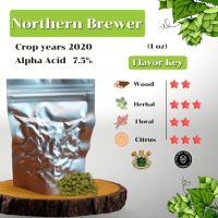 Northern Brewer Hops (1oz) Crop years 2020 (บรรจุด้วยระบบสูญญากาศ)