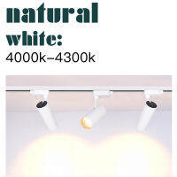 COB 30W Track Lighting Modern Fixtures Surface Mounted Spotlights Ceiling Spots Foyer LED Clothing Shop Store Home Kitchen 220V