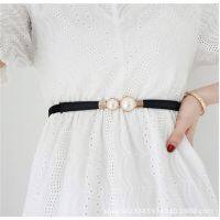 ▬ French pearl buckle elastic belt sweet lady elastic waist belt decorative dress waist chain fine black and white