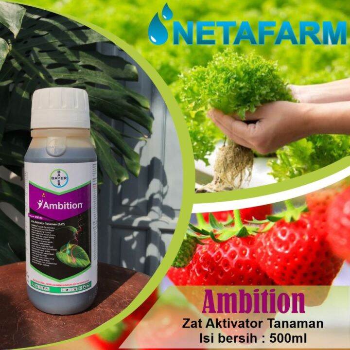 AMBITION Zat Aktivator Tanaman ZAT Organik Bayer 500ml Lazada Indonesia
