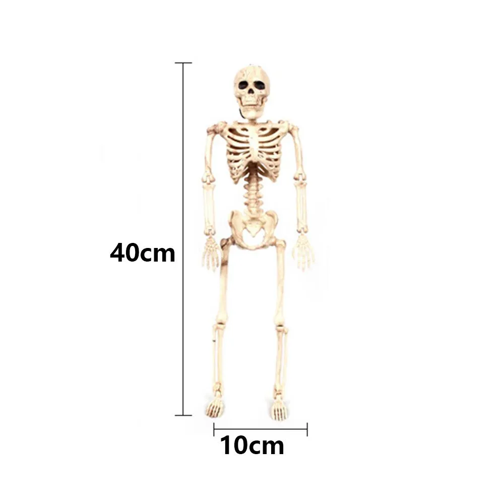 Gokzoku 1 cái Mô hình bộ xương người xương Halloween giải phẫu đạo ...
