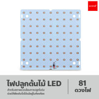 ไฟปลูกต้นไม้ LED ไฟช่วยต้นไม้โตเร็ว ไฟเลี้ยงต้นไม้  Full Spectrum LED Grow Light