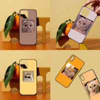 AF-11 kitten avatar อ่อนนุ่ม TPU เคสโทรศัพท์ หรับ Samsung Galaxy Note S20 20 S10 S10E Ultra S22 FE S21 10 Lite Plus ซิลิโคน เคสโทรศัพท์