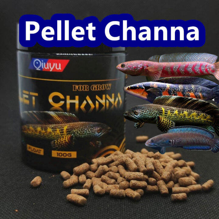 Qiuyu Channa Pellet Channa Fish food High Protein For 56inch+ Growth Feed, Pallet makanan ikan