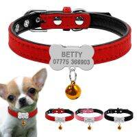 derZ441 ยอดฮิต - / ปลอกคอสุนัขส่วนบุคคล Custom Chihuahua Puppy Cat Collar Bone ID Tags แกะสลักสำหรับสุนัขขนาดกลางขนาดเล็กฟรีของขวัญ Bell XS S