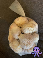 DRIED     Thai Garlic      Size 350g.