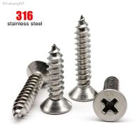 10/50X M2 M3 M4 M5 M6 High Quality 316 A4-80 Marine Grade Stainless Steel Phillips Flat Countersunk Head Self Tapping Wood Screw