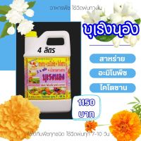 พร้อมส่ง? บุเรงนอง ขนาด 4 ลิตร อะมิโนพืช+สาหร่าย+ไคโตซาน+น้ำตาลทางด่วน อาหารพืช ใช้ฉีดพ่นทางใบ ฉีดพ่น ดอกมะลิ ดาวเรือง