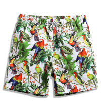 Printing Birds Mesh Inner Men Swimming Trunks Plus Size Swimwear y Beach wear Swim Briefs Surfing Shorts Mens Swimsuit 192