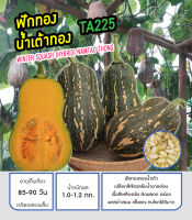 เมล็ดฟักทอง ลูกผสม เมล็ดฟักทองน้ำเต้า (WINTER SQUASH NAMTAO THONG) เนื้อสีเหลืองเข้ม เปลือกสีเขียวสลับน้ำตาลอ่อน ติดผลดก ผลสม่ำเสมอ ทนโรคได้ดีมาก