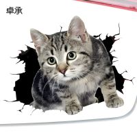 Qm Zhuo Cheng สติกเกอร์ ลายแมวน่ารัก 3D สามมิติ สร้างสรรค์ กันรอยขีดข่วน สําหรับตกแต่งรถยนต์