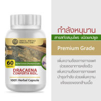 กำลังหนุมาน Dracaena Conferta Ridl Herb Capsule 100% (เกรดพรีเมี่ยม) ชนิดแคปซูล บรรจุ 60 เม็ดแคปซูล